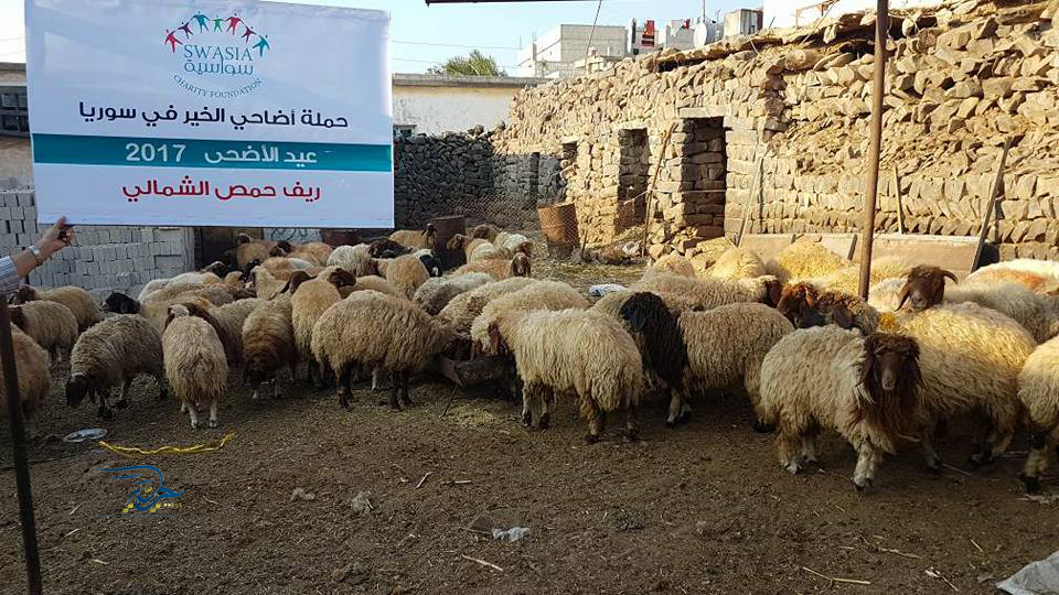 اضاحي حمص 2 لوكو - حرية برس Horrya press