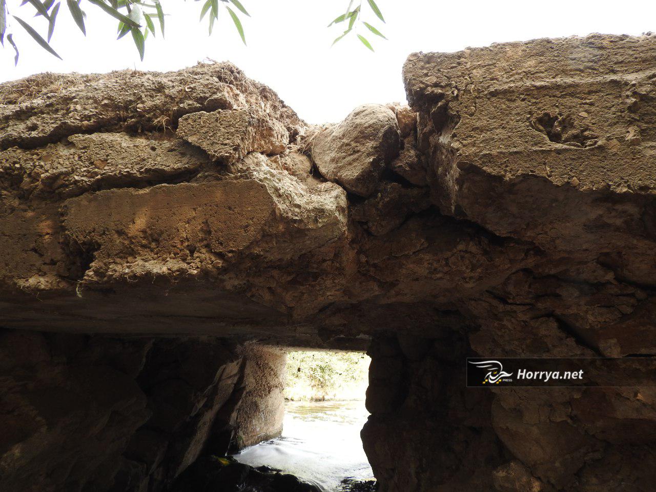 photo ٢٠١٧ ١١ ١٨ ٢٢ ٣١ ٣٢ - حرية برس Horrya press
